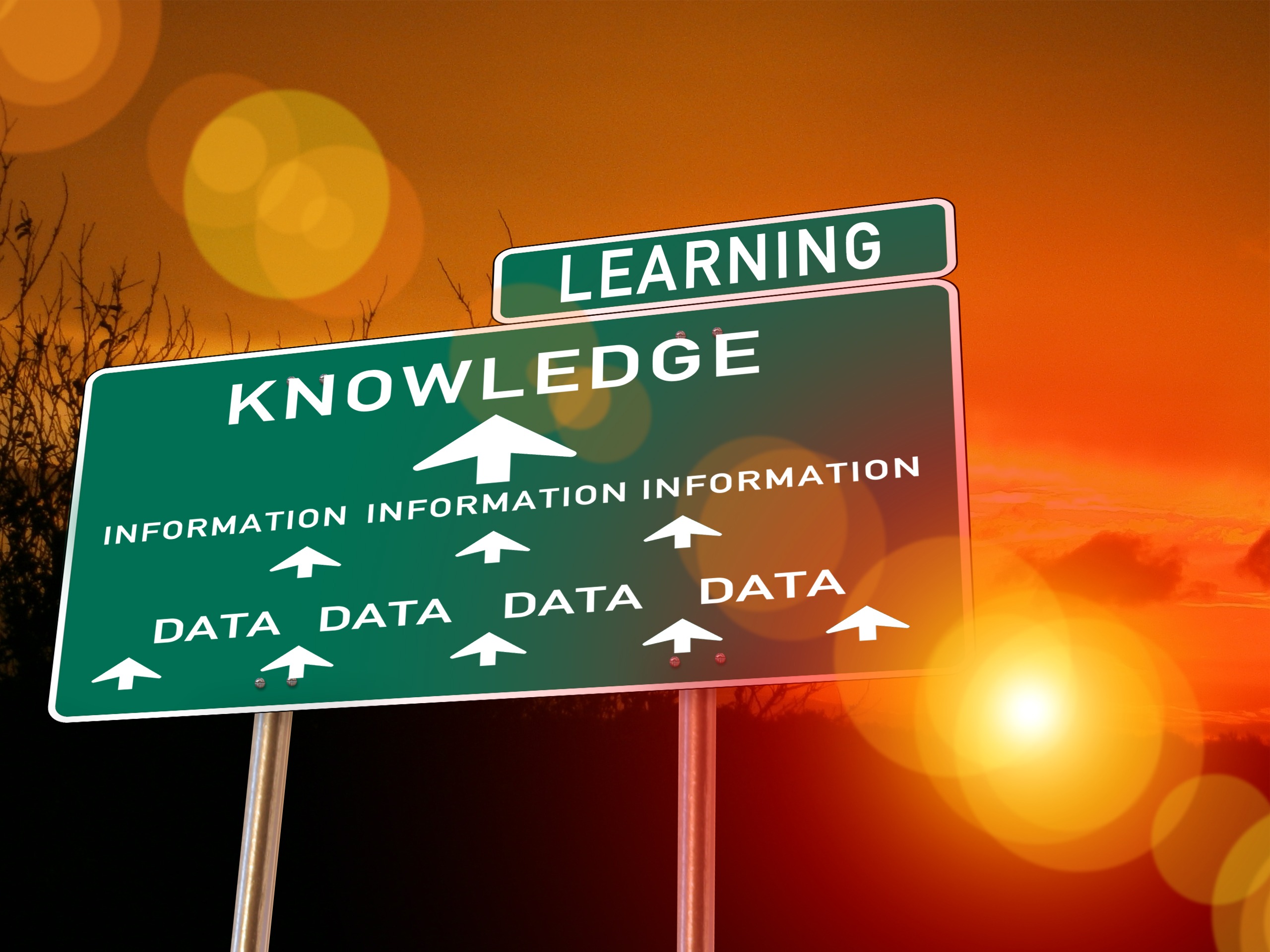 Road sign reading Data, Information, Knowledge, Learning
